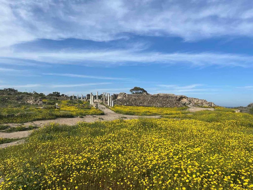 Von Paphos: Famagusta, Salamis und Varosha Rundgang