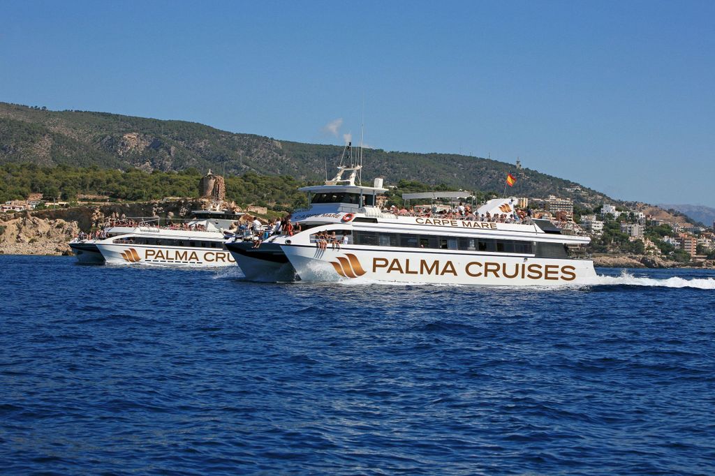 Mallorca: 5-stündiger Ausflug in der Bucht von Palma mit Badestopp