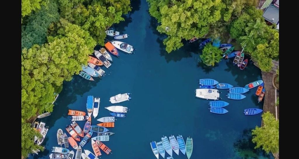 Mangrovenboot- und Plantagentour – in Rio San Juan