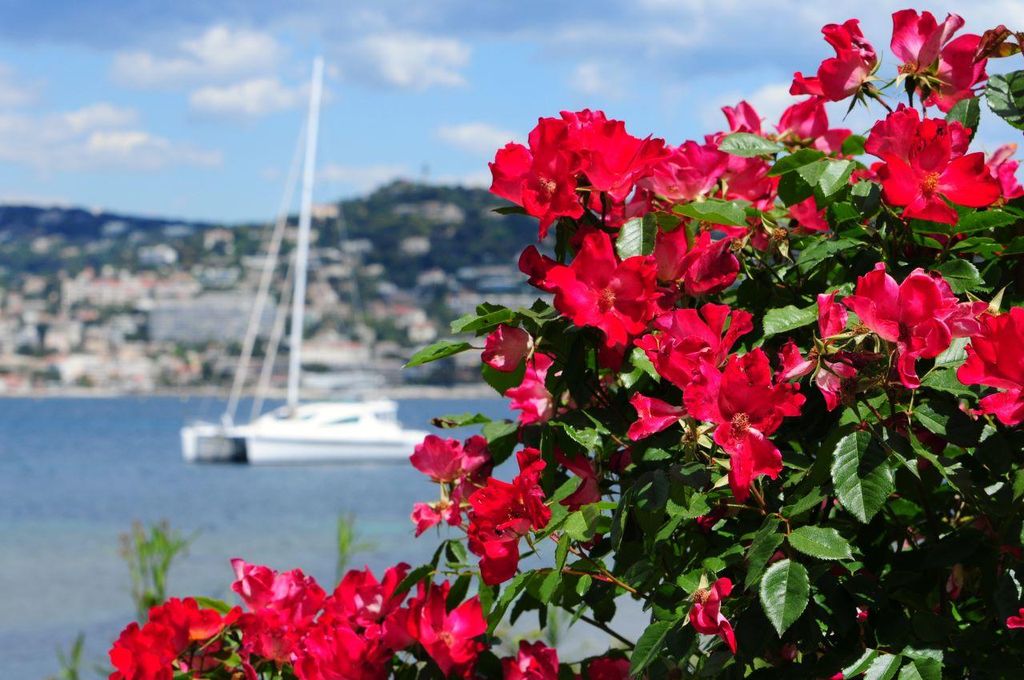 Von Cannes aus: Landausflug nach Grasse, Antibes, St. PauldeVence