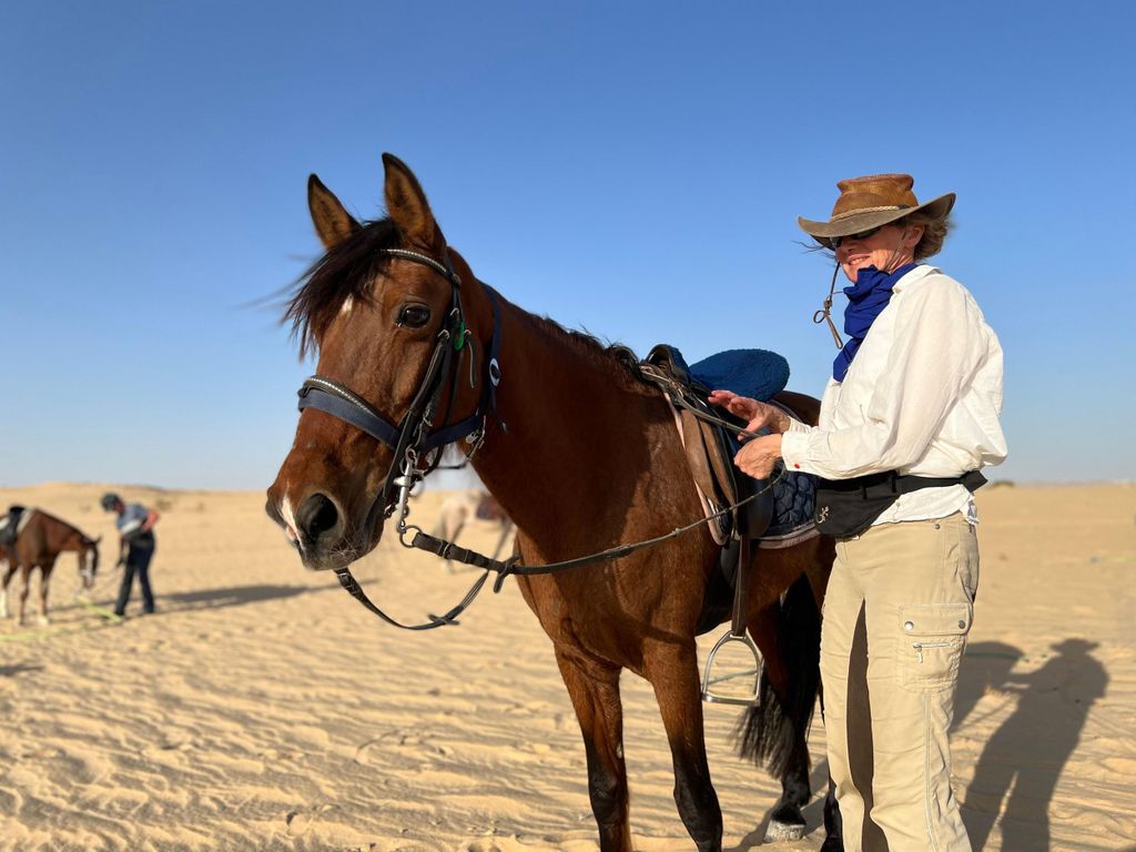 Das authentische Tozeur auf dem Pferderücken mit privatem Transfer