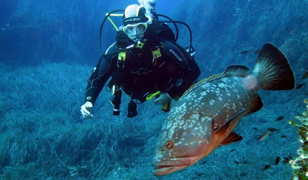 Isola d'Elba: Tauchkurs im abgegrenzten Meerwasser
