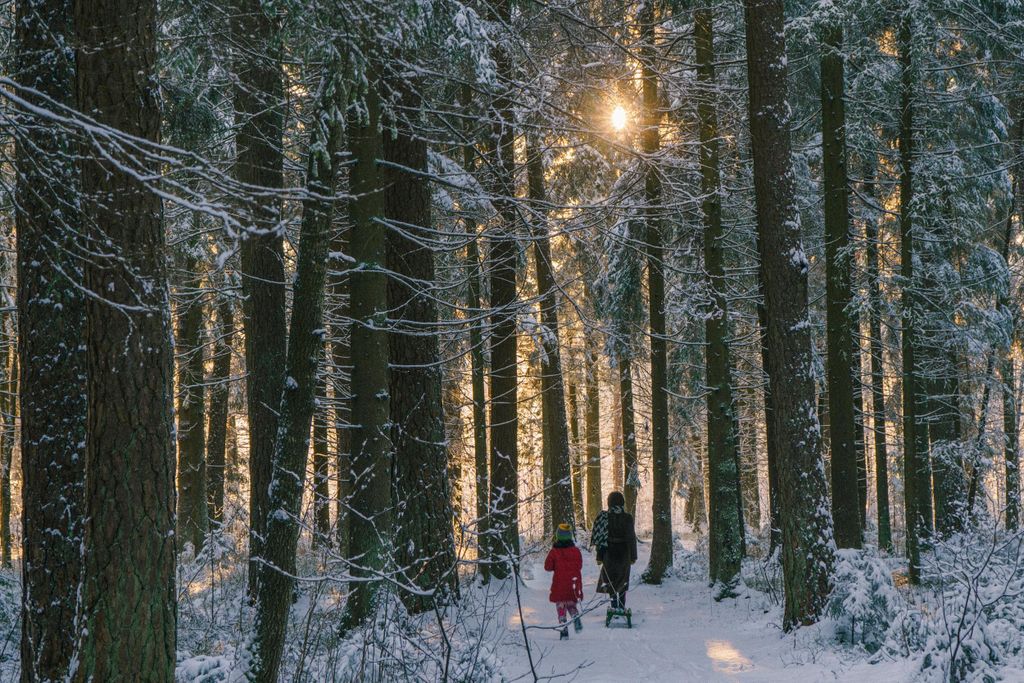 Ab Riga: Erkunde die lettische Natur mit einem lokalen Fotografen