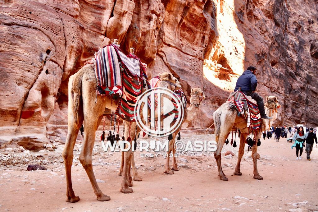 Von Amman Besuch Petra Ein Tag private Tour