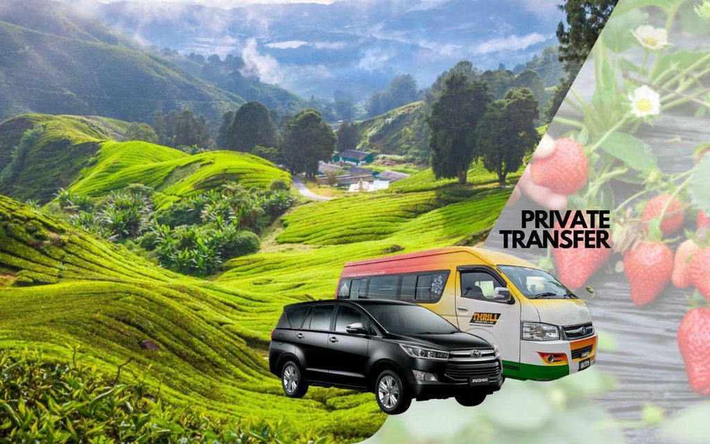 Privater Transfer nach/von Cameron Highlands