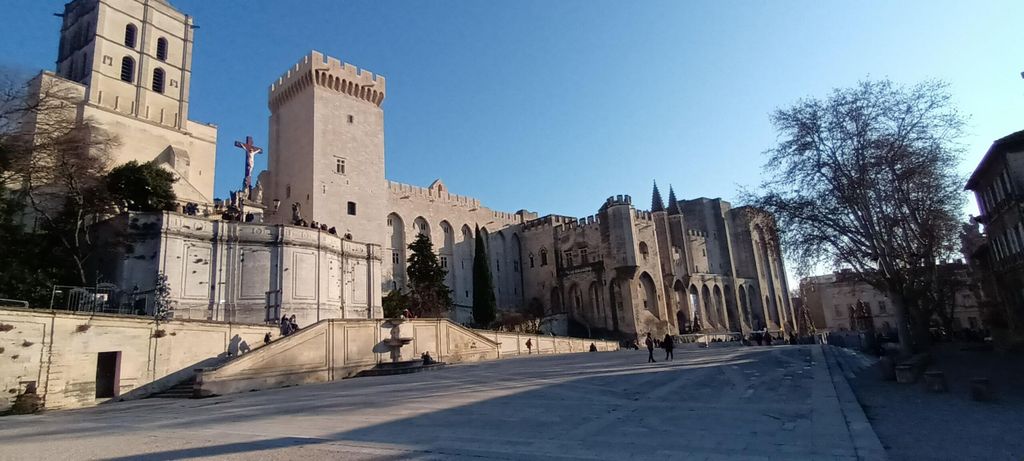 Avignon und Villeneuve Les Avignon: Besichtigungen mit dem E-Bike