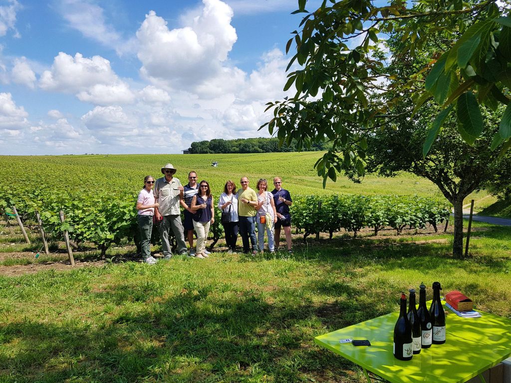 Ab Tours: Nachmittags-Weintour durch das Loiretal