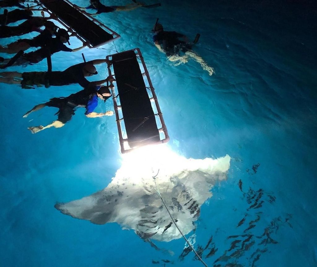 Kailua-Kona: Spätabendliches Schnorchelabenteuer mit Manta-Rochen