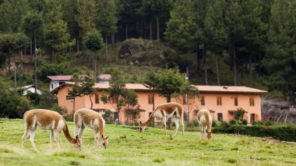 Cajamarca: Pocon und Otuzco Farm Tour
