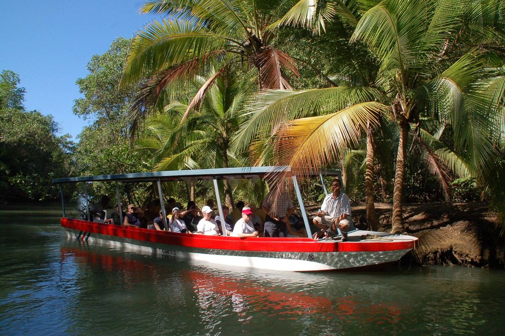 Quepos: Damas Island Mangrove's Bootstour