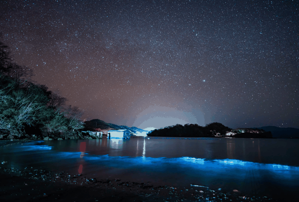 Biolumineszenz-Tour; Schnellboot, Camping (ab Puntarenas)