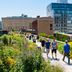 2,33 Kilometer Erholung pur mitten in New York City: der High Line Park 