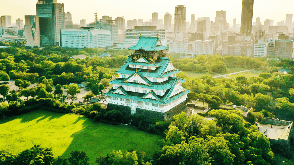 Osaka: Geschichtstour durch die Burg / Einlass zum Burgturm