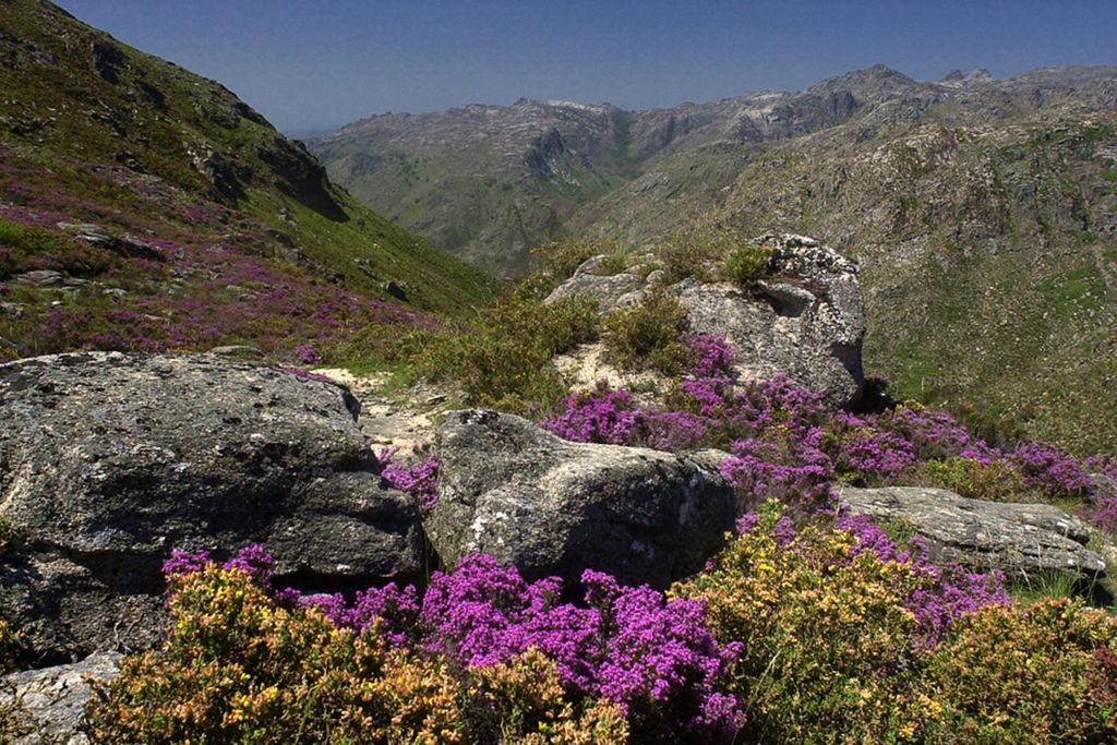 2-tägiger privater Ausflug nach Minho, Portugal – Peneda-Geres-Park und Braga
