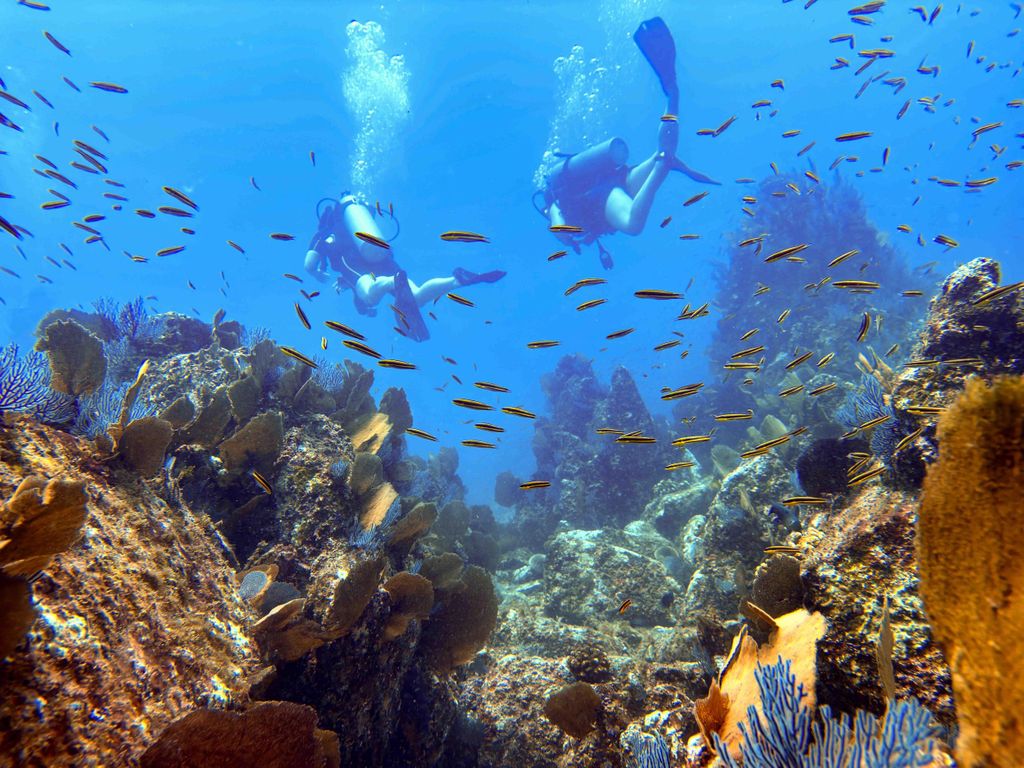 Kauai: 2-Tank-Nachmittagstauchgang