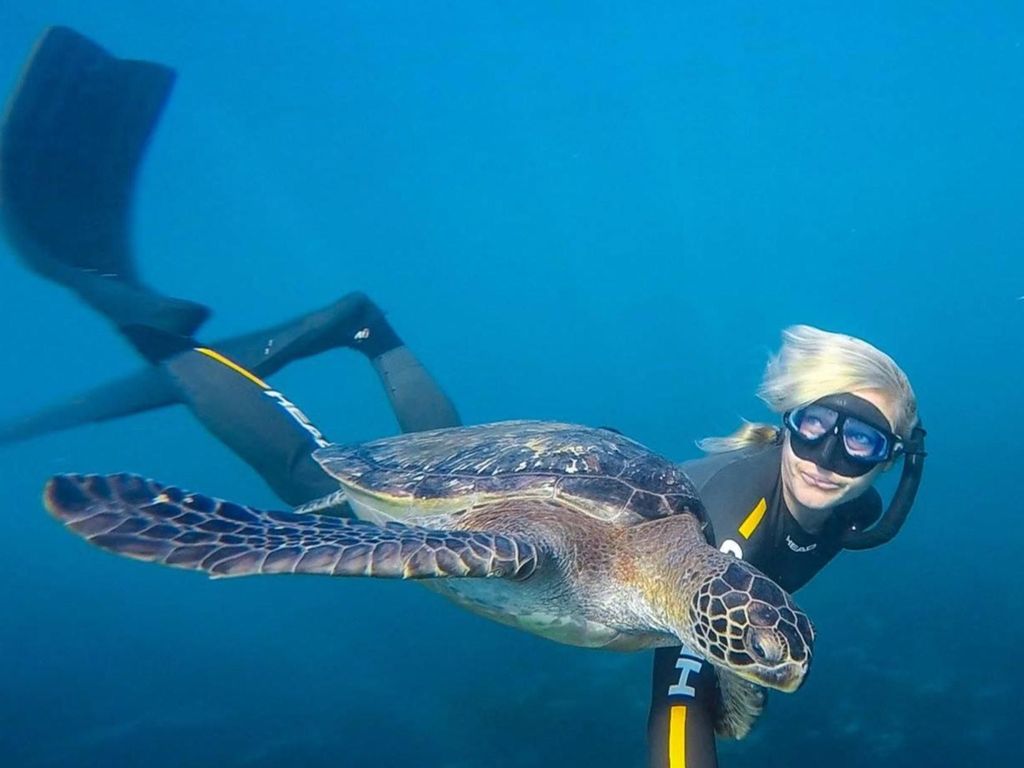 San Diego: La Jolla Cove Geführte Schnorcheltour