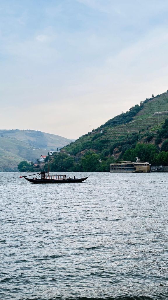 Douro-Tal: 4 Städte, Wein & Geschichte – privat, alles inklusive