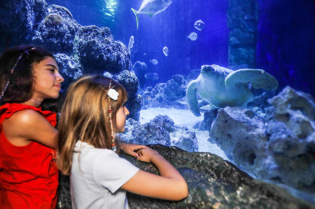 Oberhausen: Eintrittskarte für SEA LIFE Oberhausen