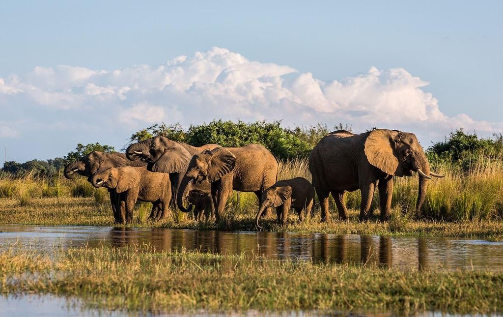 4-tägige Safari im Kruger-Nationalpark ab Pretoria & Johannesburg