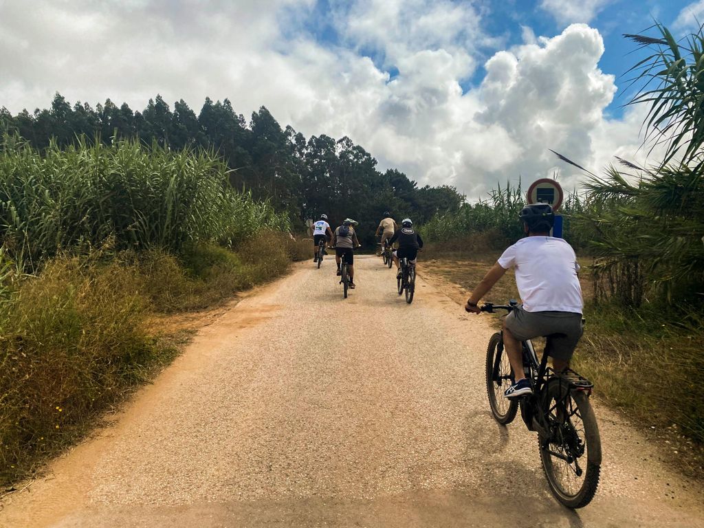 Nazaré - Óbidos E-Bike und Wein-Tour
