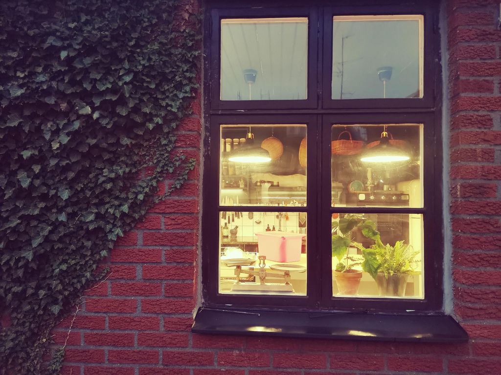 Malmö: Kochkurs für koreanische Teigtaschen mit Chefkoch So-Young