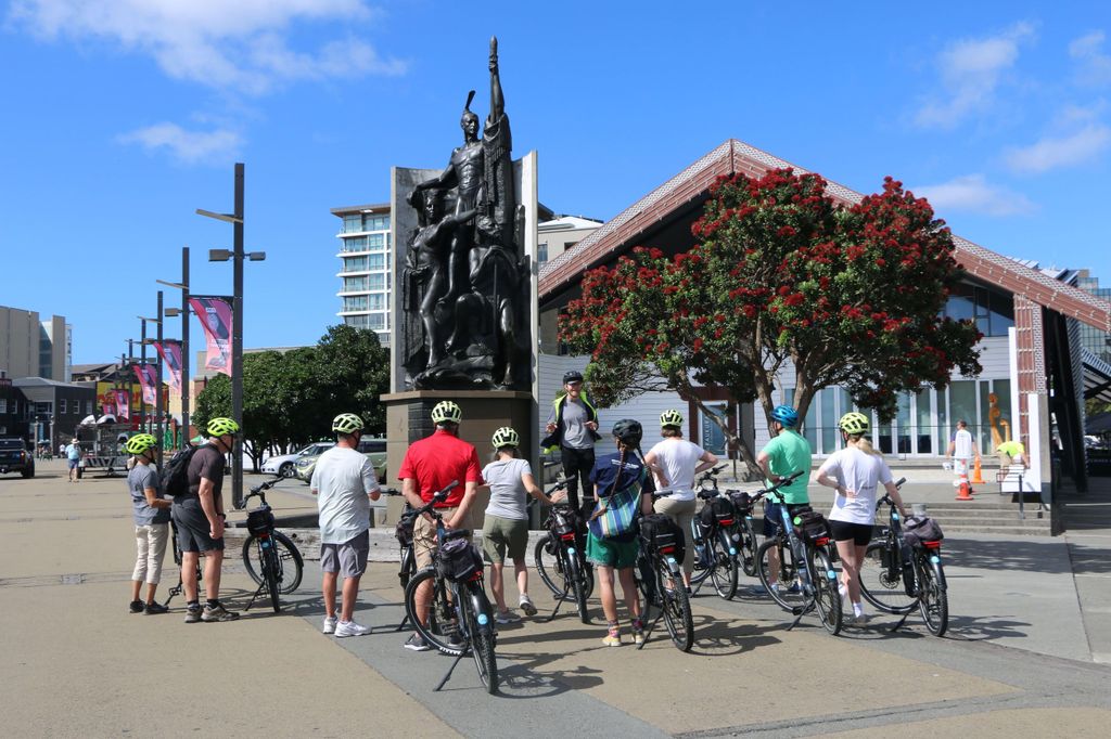 Wellington: Easy Rider Guided eBike Tour