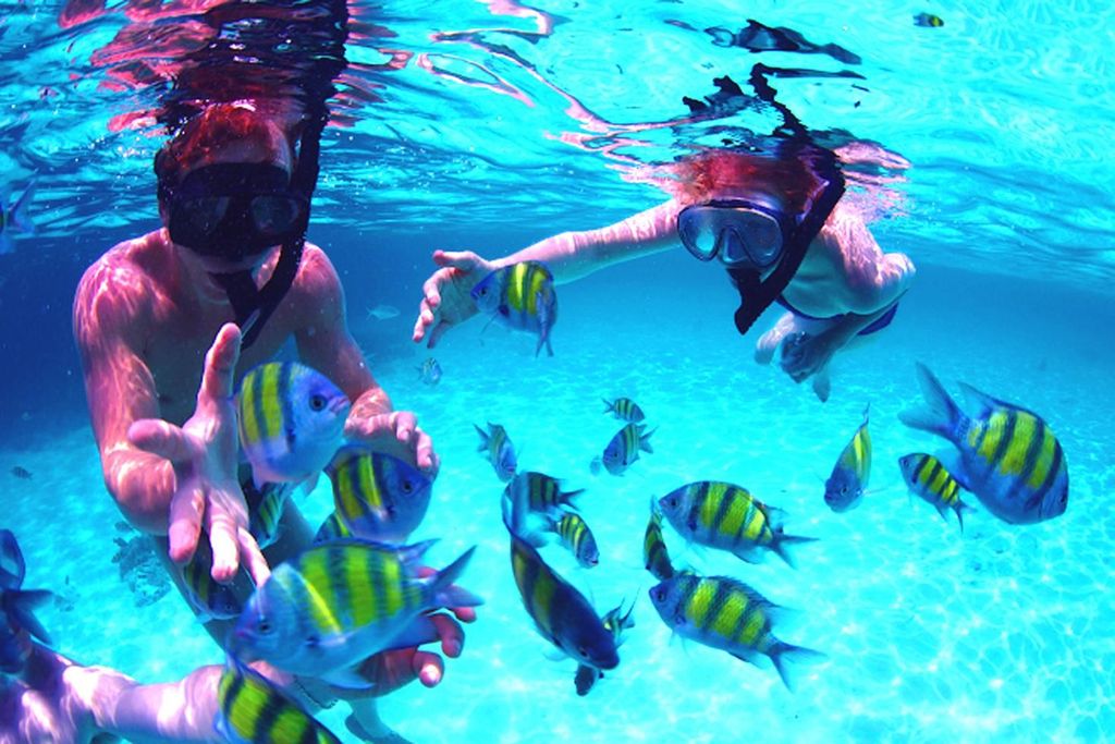 Von UAE: Musandam Khasab Delfinbeobachtungstrip mit Mittagessen