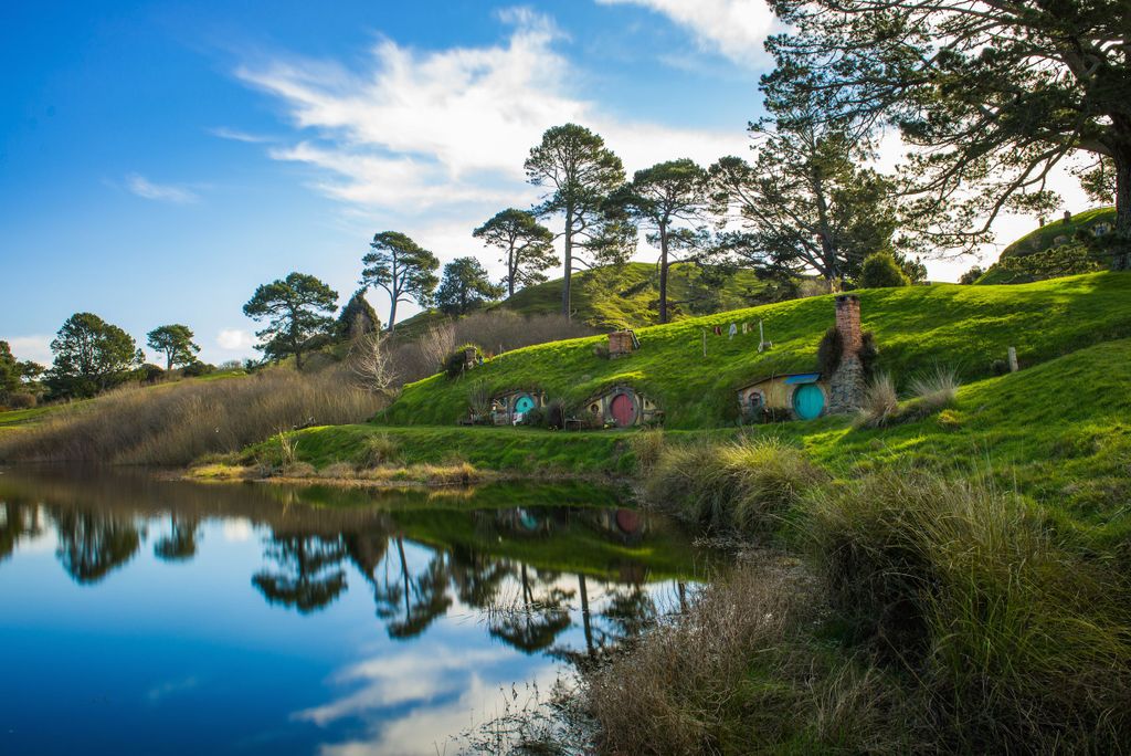 Von Auckland aus: Hobbiton & Waitomo Caves Tagestour mit Mittagessen