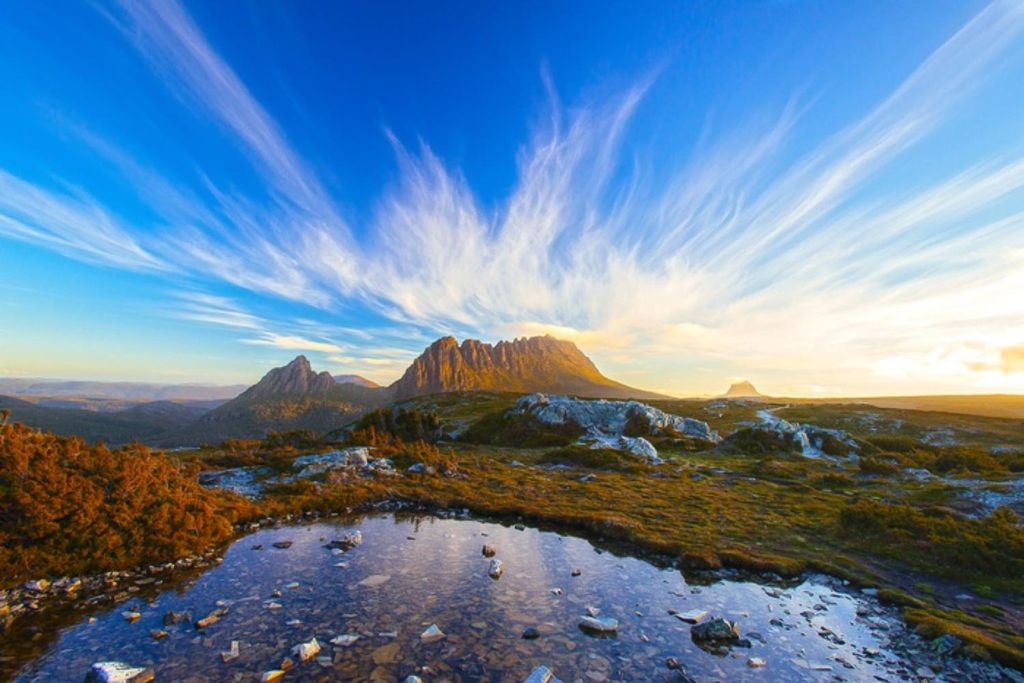 Cradle Mountain: Tagestour von Launceston mit Mittagessen