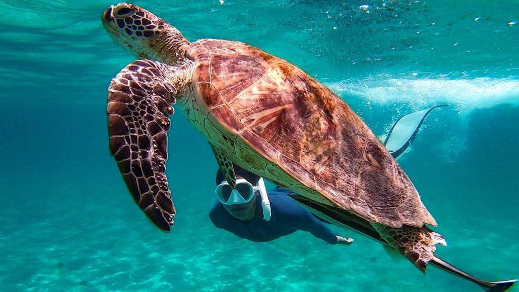 Von Puerto Princesa aus: Port Barton & Inselhopping Tagestour