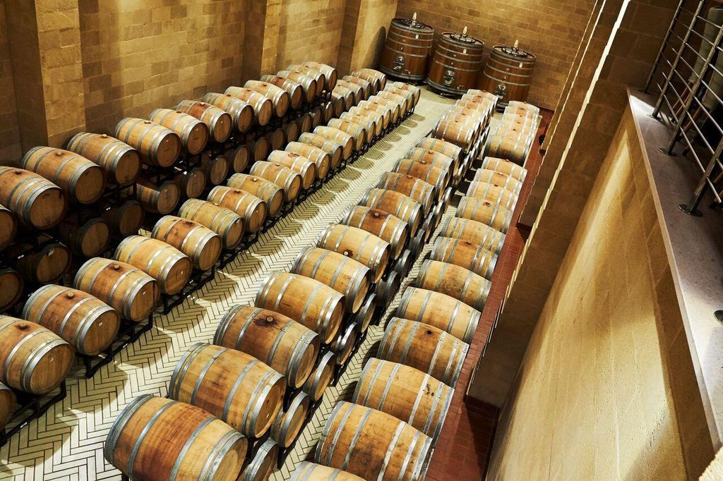 Brindisi: Weingut-Tour & geführte Weinprobe