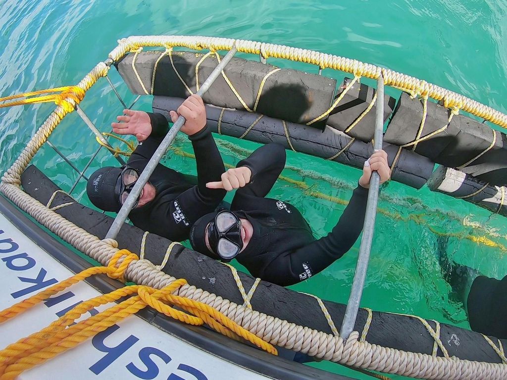 Gansbaai: Haikäfigtauchen und Bootsfahrt zur Hai-Beobachtung