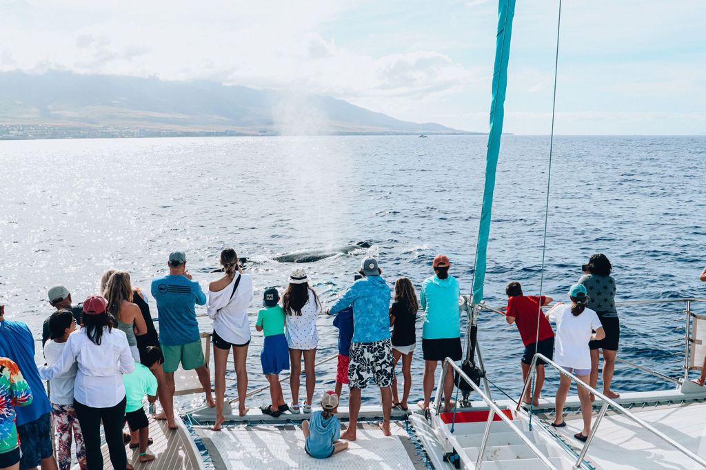 Maui: Ka'anapali Whale Watching mit Rabatt – Schiff mit Strandanleger