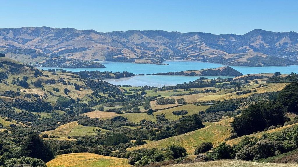 Akaroa-Tagestour ab Christchurch