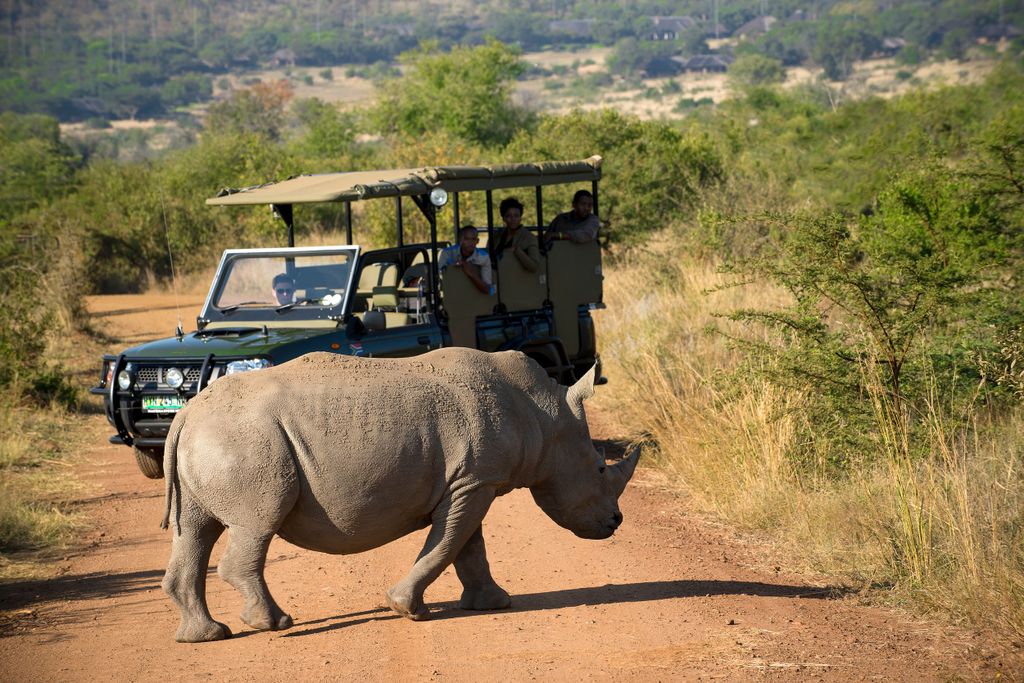 Von Johannesburg: Wildsafari im Pilanesberg-Naturschutzgebiet