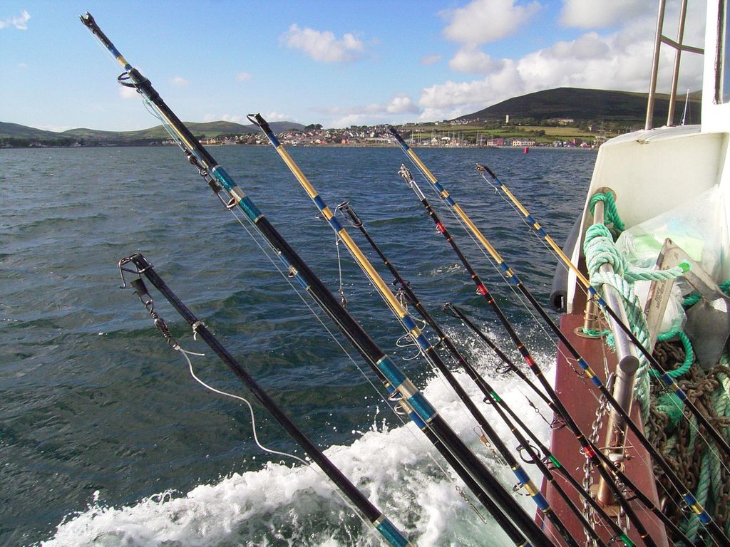 Tiefseefischen in der Dingle Bay!