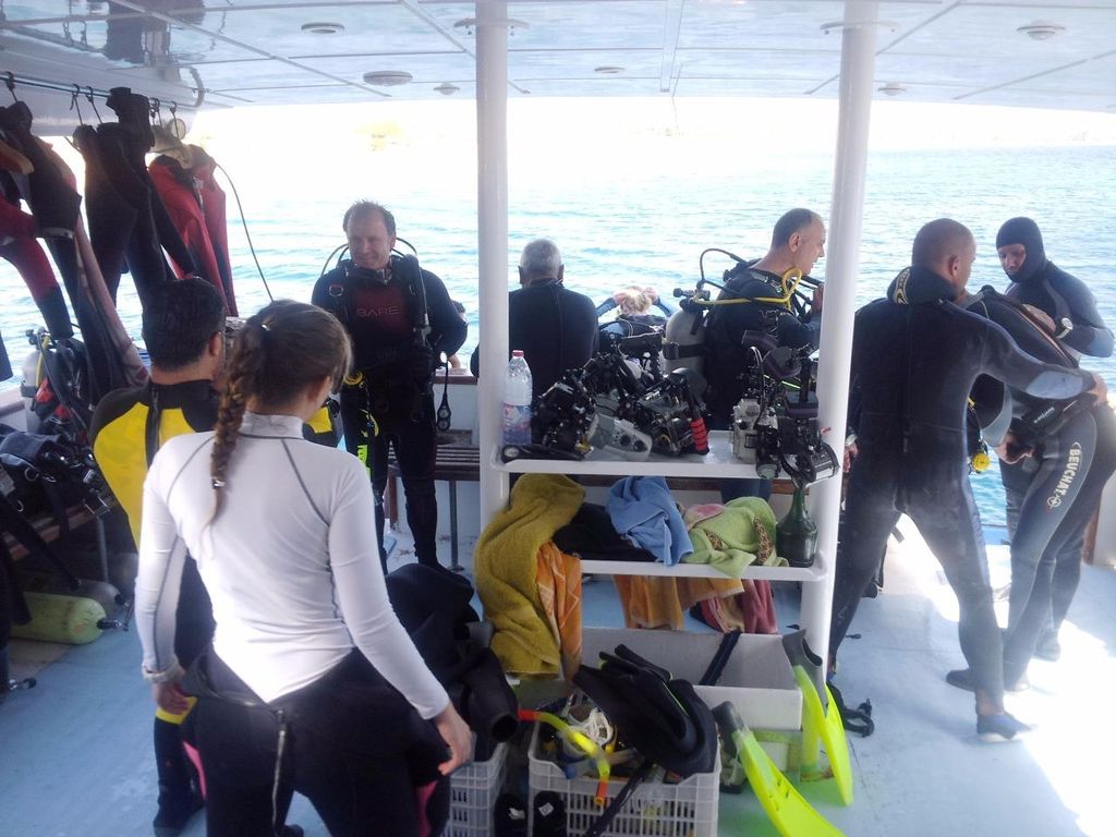 Aqaba: 2 geführte Tauchgänge Bootsfahrt mit Ausrüstung und Mittagsbuffet