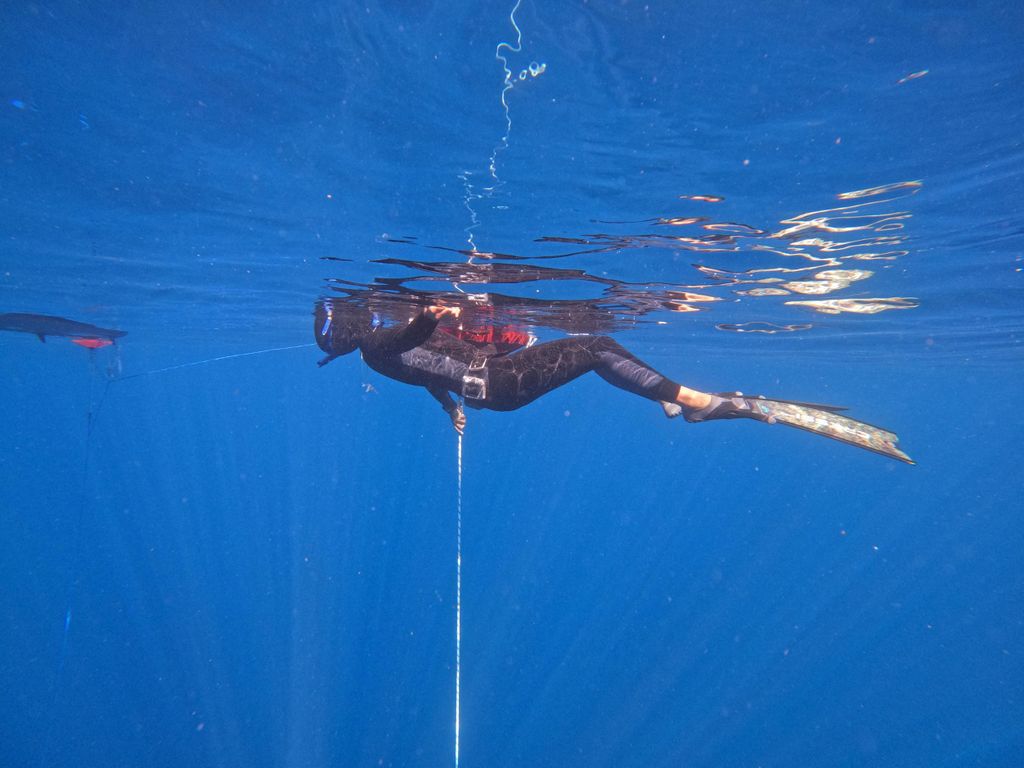 Probiere Freitauchen in Puerto del Carmen, Lanzarote, aus!