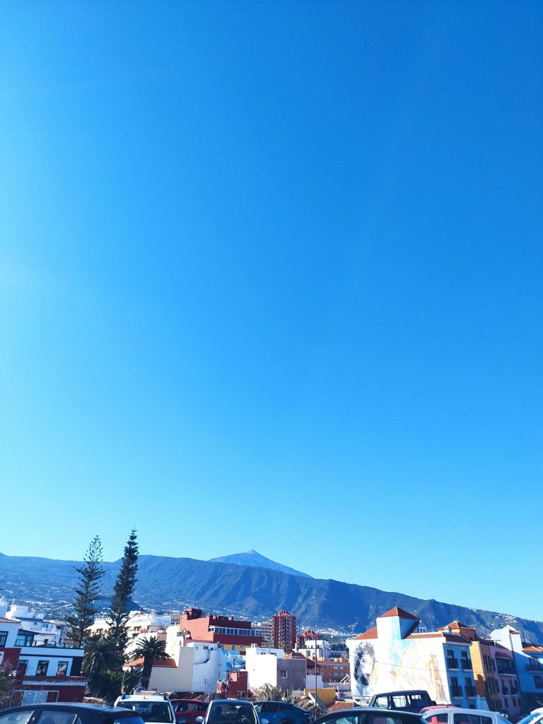 Wanderung Icod de los Vinos 1:30 Std.