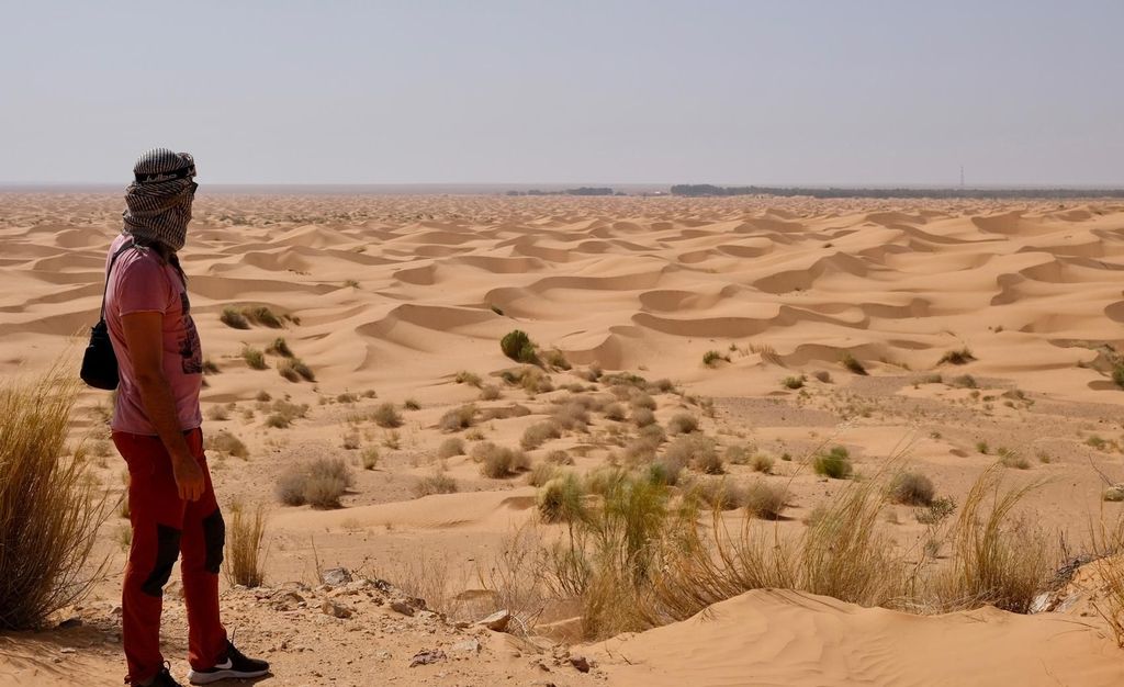 Djerba/Zarzis: Tagestour nach Ksar Ghilane, Tataouine & Chenini