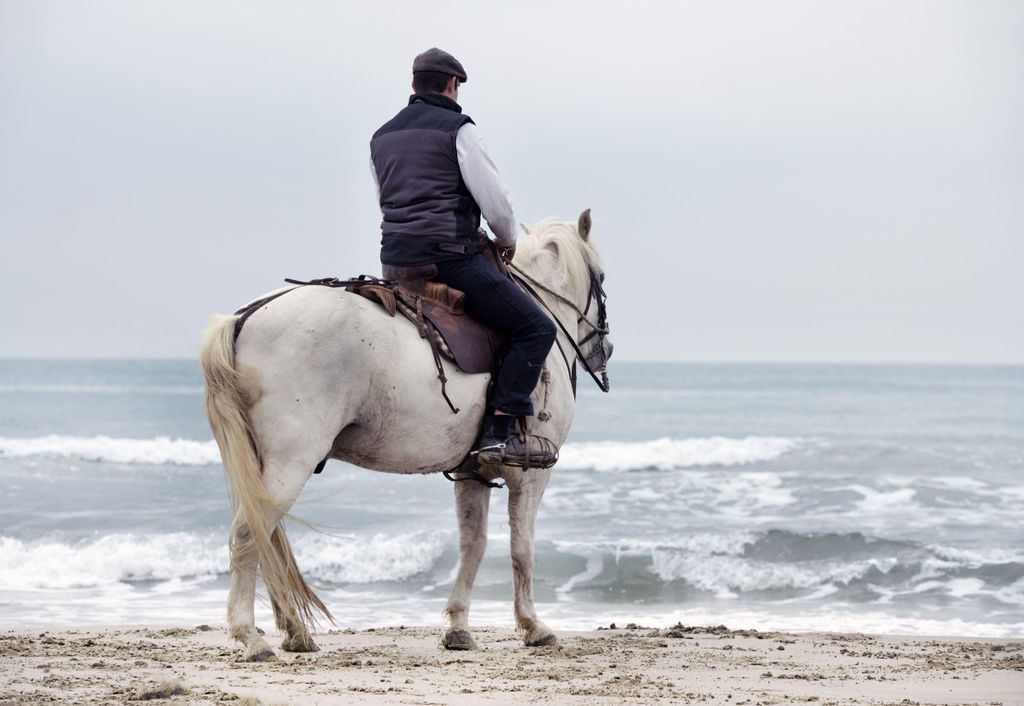 Porto: Ausritt mit Blick auf den Strand und Waldpfade