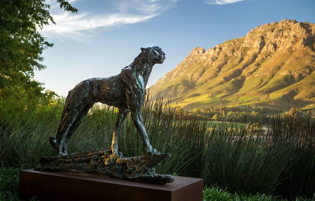 Tour durch die Weinregion: Von Stellenbosch nach Franschhoek