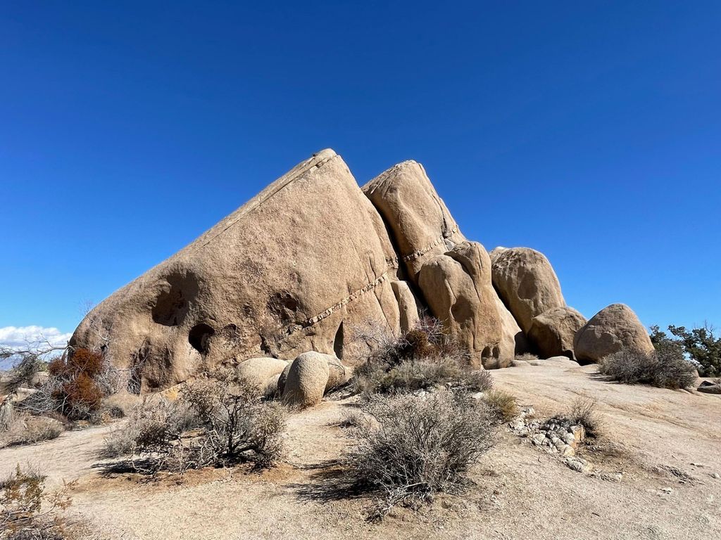Von San Diego aus: Joshua Tree National Park Private Tour