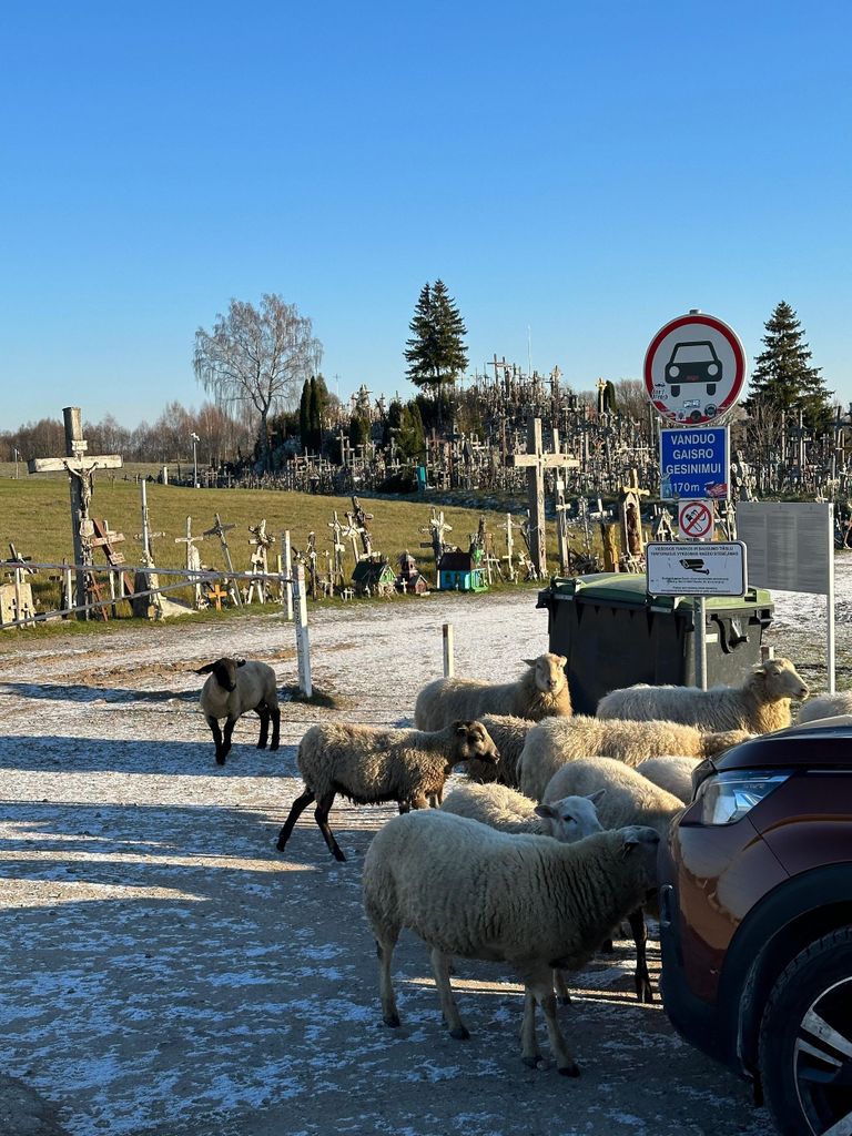 Von Riga aus: Ausflug zum Berg der Kreuze, Rundale-Palast und Bauska