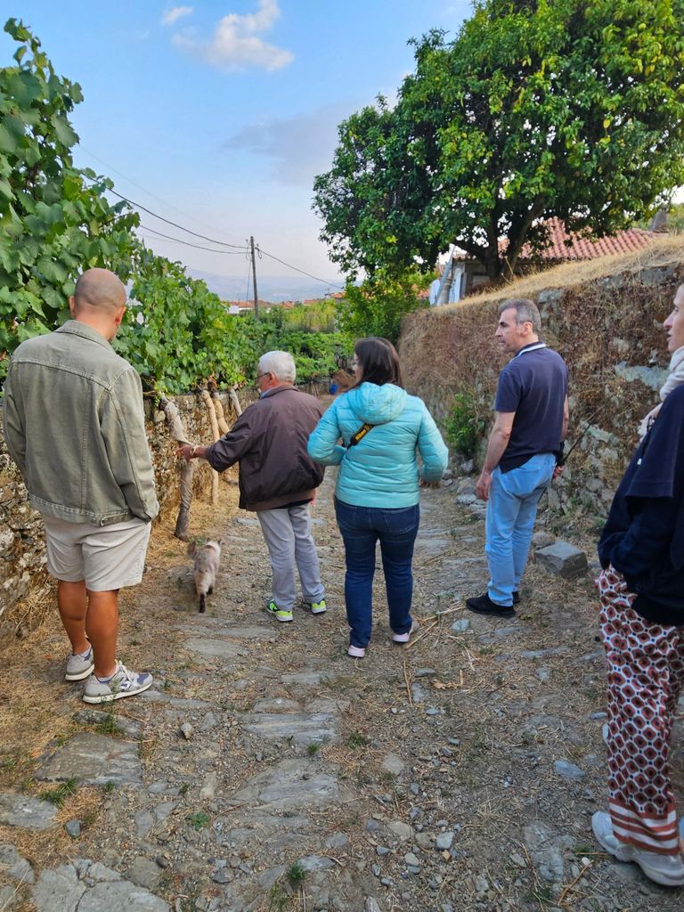 Porto-Douro: Besuch eines Weinguts mit Weinprobe und Zugfahrt