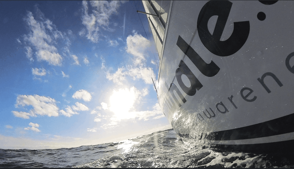 Denia: Elektrische Segelbootfahrt bei Sonnenuntergang mit Delphinbeobachtung