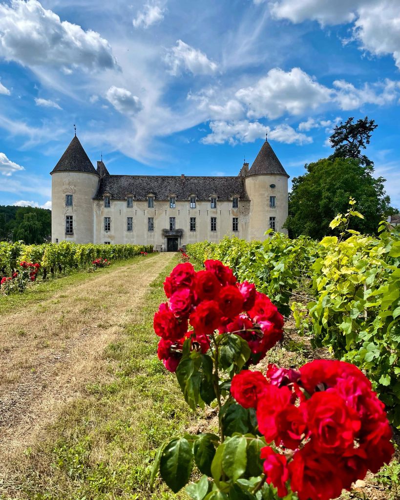 Burgunderweinprobe im Château de Savigny-lès-Beaune