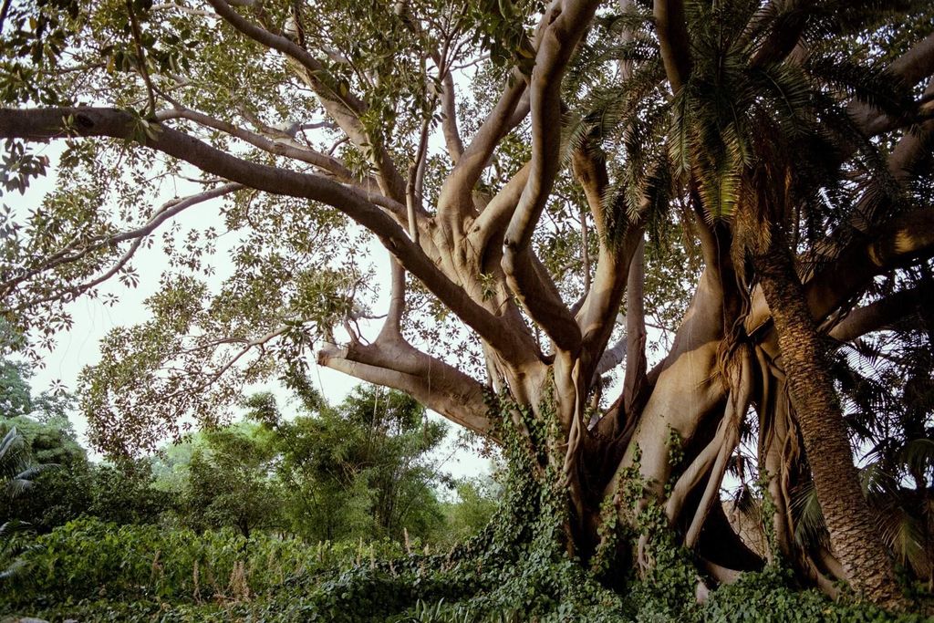 Syrakus: Exklusive sizilianische Weinverkostung