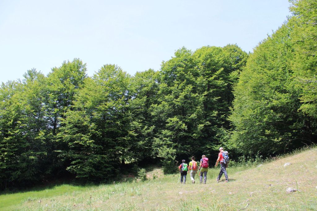 Sila: geführte Trekking-Tour mit Picknick in der Natur