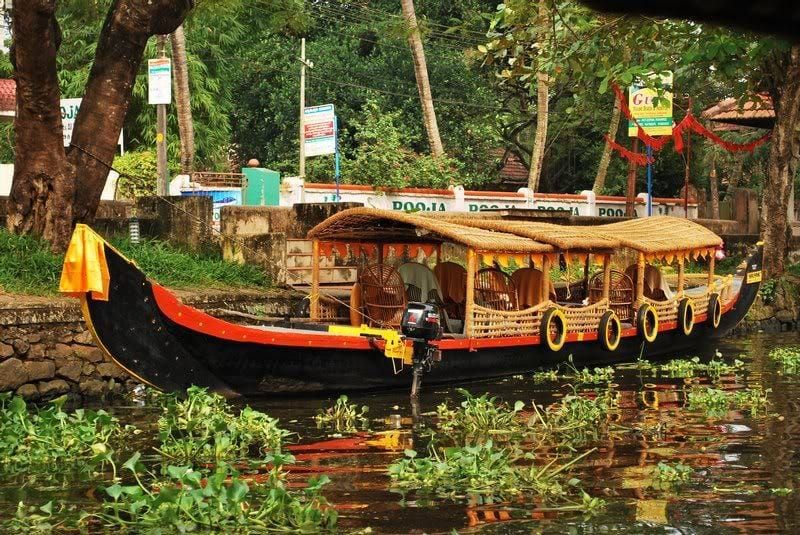 Cochin : Alleppey/Alappuzha Rückwasserkanu (Shikara) Kreuzfahrt